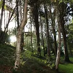 Hotel Bout De Bois 4*