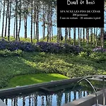 Bout De Bois 4*