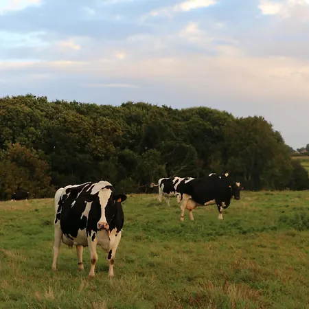 Bout De Bois Hotel Saint-Jouin-Bruneval