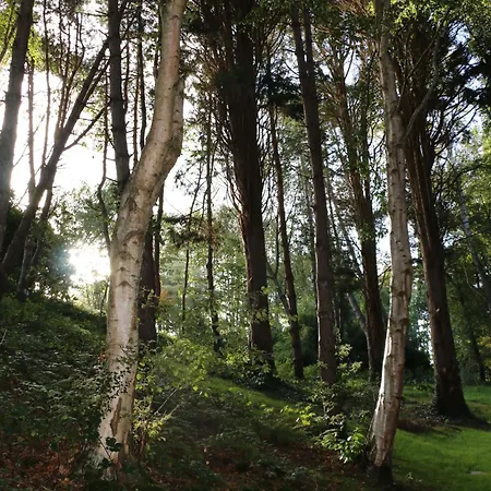 Hotel Bout De Bois 4*