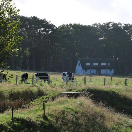 Bout De Bois Otel