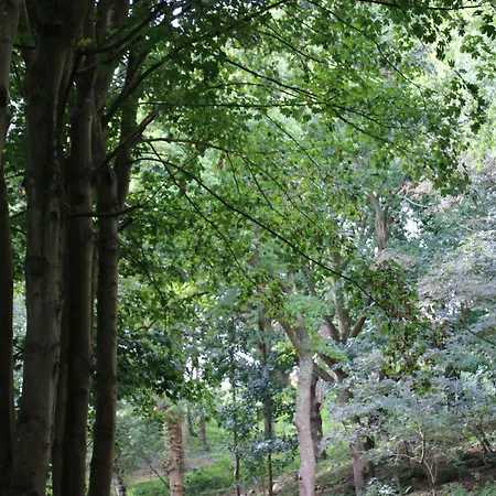 Bout De Bois Hotel 4*