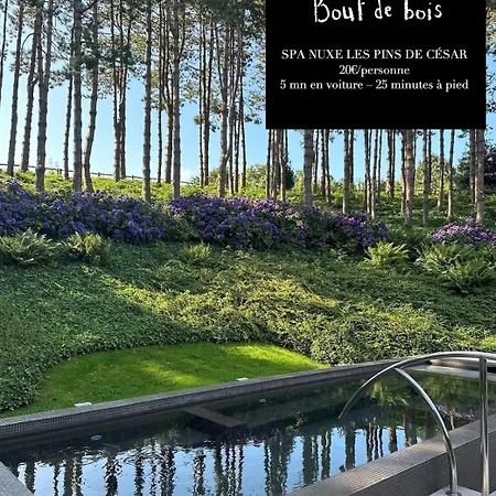 Bout De Bois 4*